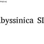 Abyssinica Sil-Regular Font Free Download