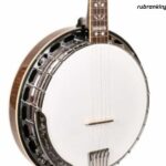 Why Do People Criticize the Gibson RB250 Banjo